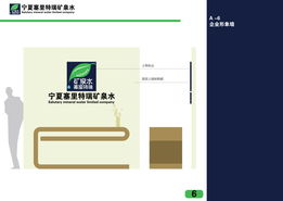 kevin zyt 品牌视觉体系构建方案 从logo设计到企业形象策划